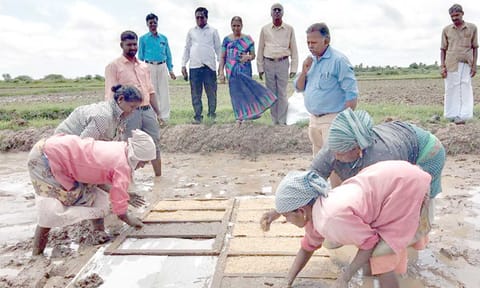 பாரம்பரிய நெல் பாய் நாற்றங்கால் தயாரிப்பு பணியை அதிகாரிகள் ஆய்வு செய்தனர்.