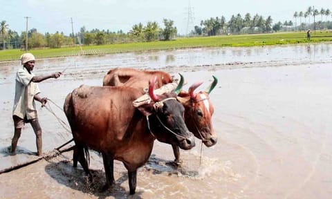 கோப்புபடம்.
