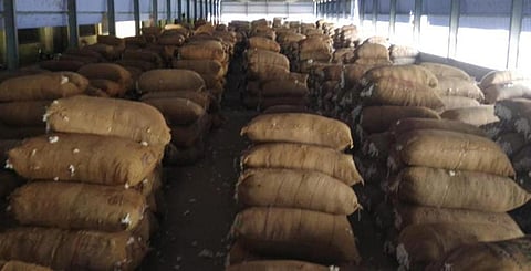 பருத்தி மூட்டைகள் வரத்து குறைந்தது