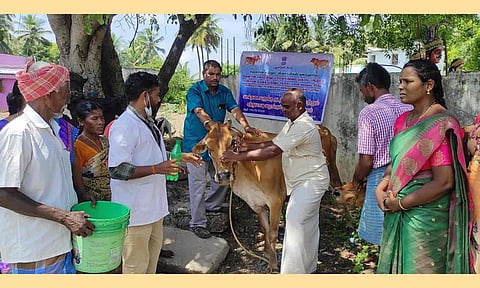 குடற்புழு நீக்க சிகிச்சை முகாம் நடைபெற்ற காட்சி படம்.&nbsp;