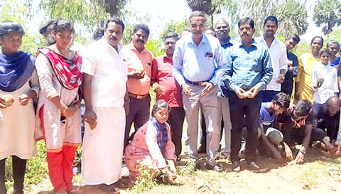 பனை விதைகள் விதைக்கப்பட்டன.