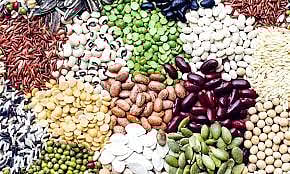 விதைப்பரிசோதனை நிலையத்தில் இயக்குநர் ஆய்வு