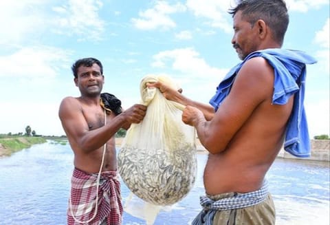 பெரிய கண்மாய் மதகில் மீன் பிடித்த மகிழ்ச்சியில் தொழிலாளர்கள்