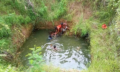 மாட்டை தீயணைப்பு துறையினர் மீட்ட போது எடுத்த படம்.