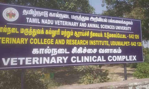 கோப்புபடம்.