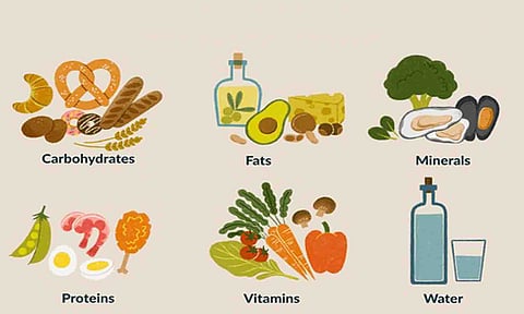 கோப்புபடம்.