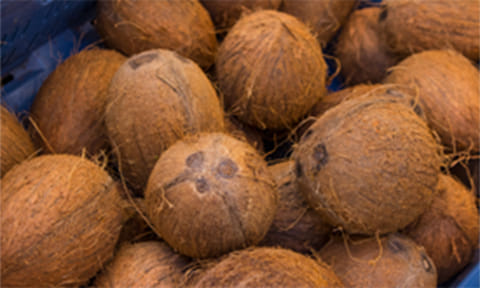 ரூ.18 ஆயிரத்துக்கு தேங்காய் ஏலம்