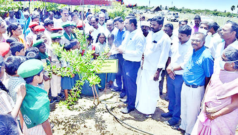 அரியவகை மரங்கள் வளர்க்கப்பட்டு வருவதை பள்ளி மாணவர்களுடன் கலெக்டர் தினேஷ்பொன்ராஜ் ஆலிவர் பார்வையிட்டு விளக்கமளித்தார்.