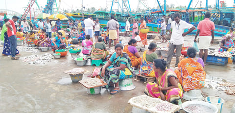 புரட்டாசி மாதம் இன்று முதல் தொடங்கியது. இதனால் கடலூர் முதுநகர் துறைமுகம் பகுதியில் உள்ள மீன் விற்பனை செய்யும் இடத்தில் மக்கள் கூட்டம் குறைவாக காணப்பட்டது. இதனால் மீன் விற்பனை மந்தமானது.