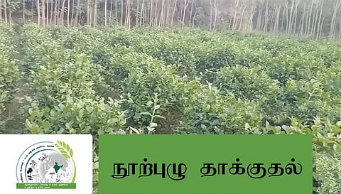 நூற்புழுக்களின் தாக்குதலில் இருந்து பயிர்களை காப்பது எப்படி? அதிகாரி அறிக்கை