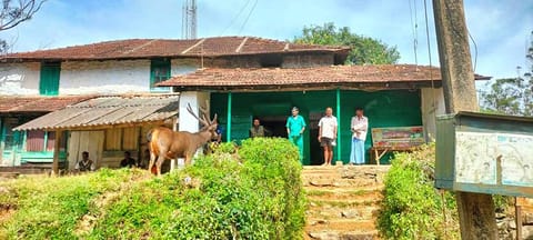 தேயிலை தோட்ட பகுதியில் சுற்றி திரியும் மிளாவை படத்தில் காணலாம்