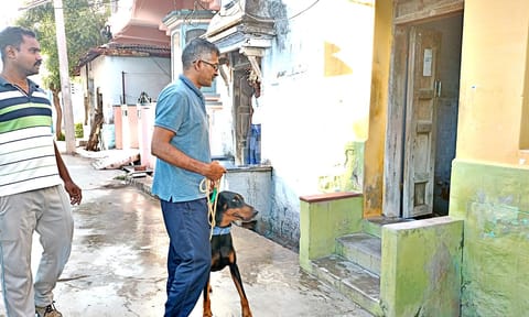 கொள்ளை முயற்சி நடந்த வீட்டில் போலீசார் மோப்பநாயுடன் வந்து விசாரணை நடத்தினர்.