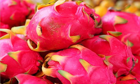 கோப்புபடம்.&nbsp;