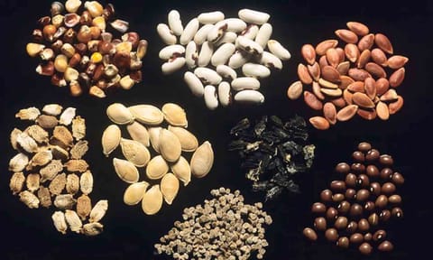 கோப்புபடம்.&nbsp;