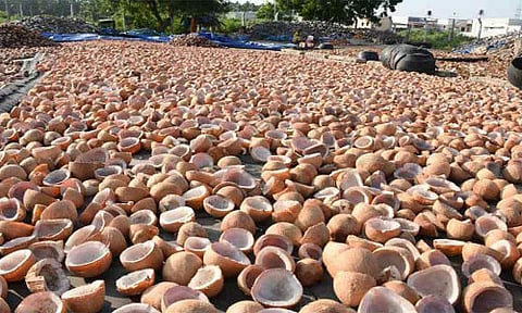 ரூ.60 லட்சத்து 81 ஆயிரத்துக்கு  தேங்காய் பருப்பு ஏலம்