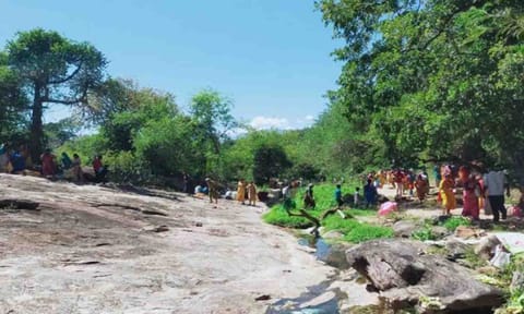 ஏழுமலையானை தரிசித்து வருகின்ற பக்தர்களை படத்தில் காணலாம்.