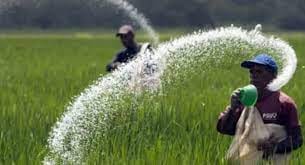 உரங்களை அதிக விலைக்கு விற்றால் கடும் நடவடிக்கை