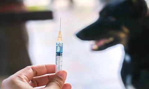 கோப்புபடம்