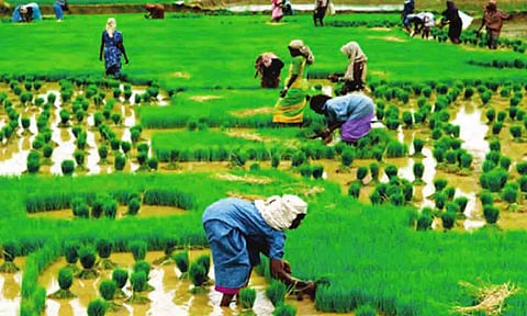 கோப்புபடம்.