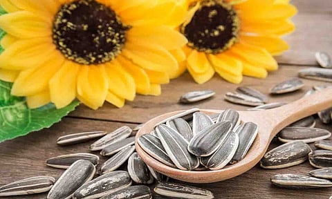 கோப்புபடம்.