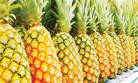 மருத்துவ பயன்கள் கொண்ட அன்னாசி பழம்