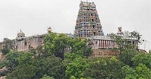 விராலிமலை முருகன் கோவிலில் அம்பு எய்தல் நிகழ்ச்சி