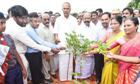 காளையார்கோவில் அரசு பள்ளி வளாகதத்தில் சபாநாயகர் அப்பாவு, அமைச்சர் பெரியகருப்பன் ஆகியோர் மரக்கன்று நடுதலை தொடங்கி வைத்த காட்சி. அருகில் கலெக்டர் மதுசூதன்ரெட்டி மற்றும் பலர் உள்ளனர்.