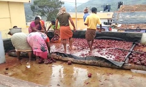 கோத்தகிரியில் அறுவடை செய்த பீட்ரூட்களை சுத்தம் செய்யும் பணியில் ஈடுபட்டுள்ள விவசாயிகள்.