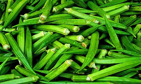 கோப்புபடம்.