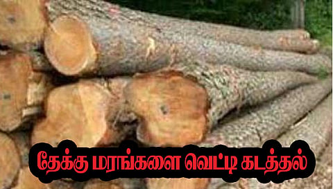 விலை உயர்ந்த தேக்கு மரங்களை வெட்டி  கடத்த முயன்ற 3 பேர் சிக்கினர்