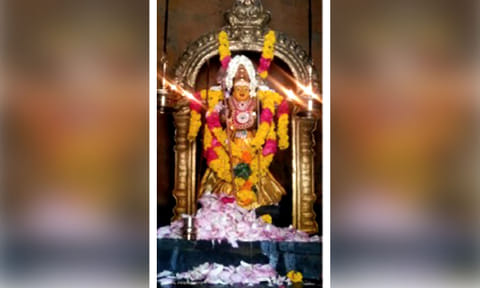 சிறப்பு அலங்காரத்தில்  வெள்ளிமலை முருகன்.