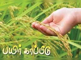 பயிர் காப்பீடு செய்ய விவசாயிகளுக்கு அழைப்பு