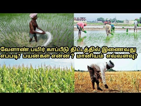 பயிர் காப்பீடு செய்ய விவசாயிகளுக்கு அழைப்பு