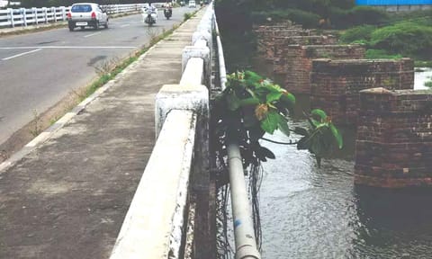 கோப்புபடம்.&nbsp;