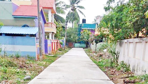 புதிதாக அமைக்கப்பட்ட சிமெண்ட் சாலை.