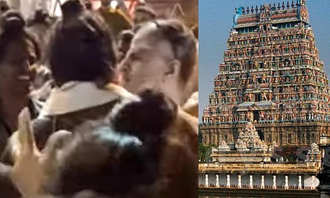 தீட்சிதர்கள், நடராஜர் கோவில்