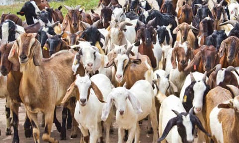 கோப்புபடம்.&nbsp;