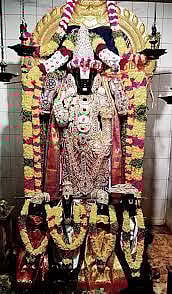 புதுக்கோட்டை பகுதிகளில்  பெருமாள் கோவில்களில் சிறப்பு வழிபாடு