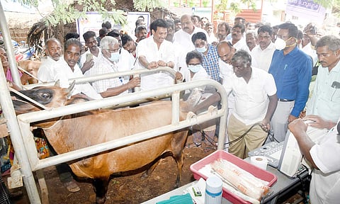 கால்நடை சிறப்பு முகாமை அமைச்சர் அன்பில் மகேஷ்பொய்யாமொழி தொடங்கி வைத்தார்.