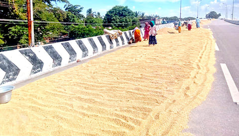 நெல் உலர வைக்கும் பணியில் விவசாயிகள்.