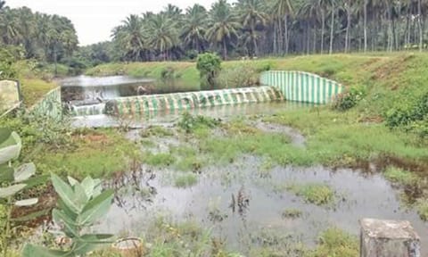 கோப்புபடம்.