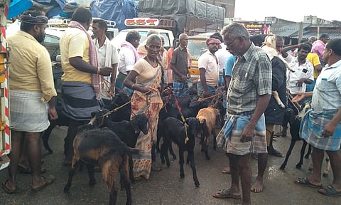 அய்யலூர் ஆட்டுச்சந்தையில் ஆடுகளை வாங்க குவிந்த வியாபாரிகளை காணலாம்.