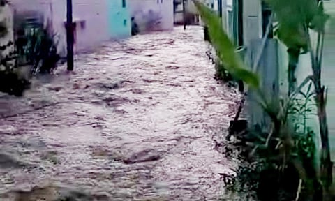 மழை வெள்ளம் தெருக்களில் பெருக்கெடுத்து ஓடுவதை காணலாம்.