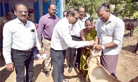 தமிழக முதல்வரின் சிறப்பு கால்நடை  சுகாதார விழிப்புணர்வு முகாம்