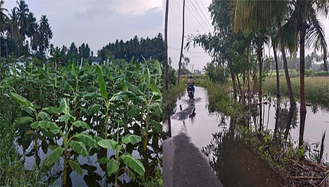 கனமழையின் காரணமாக வாழைத் தோட்டத்தில் தண்ணீர் தேங்கி நிற்பதை படத்தில் காணலாம். கோப்பணம் பாளையம் பகுதியில் சாலையில் தேங்கிய மழைநீர்.