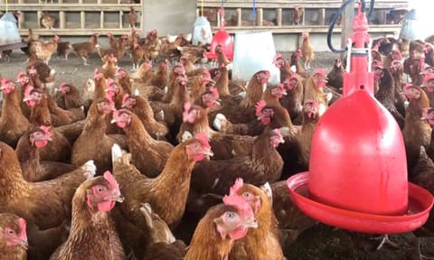 கோப்புபடம்