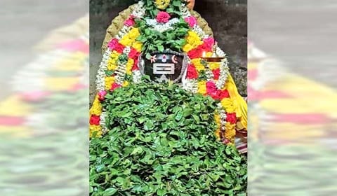 செங்கோட்டை குலசேகரநாதர் கோவிலில் சனி பிரதோஷ வழிபாடு