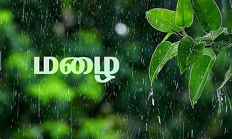 தென்காசி மாவட்டத்தில் அணைப்பகுதிகளில் பரவலாக மழை- குற்றாலத்தில் பயணிகள் கூட்டம் அதிகரிப்பு