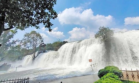 திற்பரப்பு அருவியில் தண்ணீர் ஆர்ப்பரித்து கொட்டுவதை படத்தில் காணலாம்