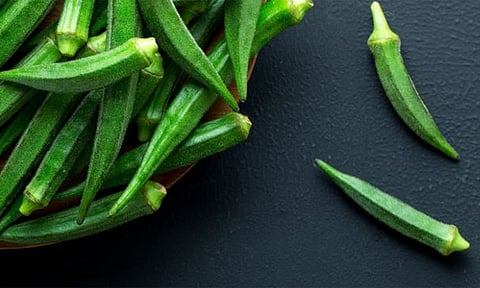 நீரிழிவு நோயாளிகளின் உடலுக்கு பல நன்மைகளை தரும்  வெண்டைக்காய்